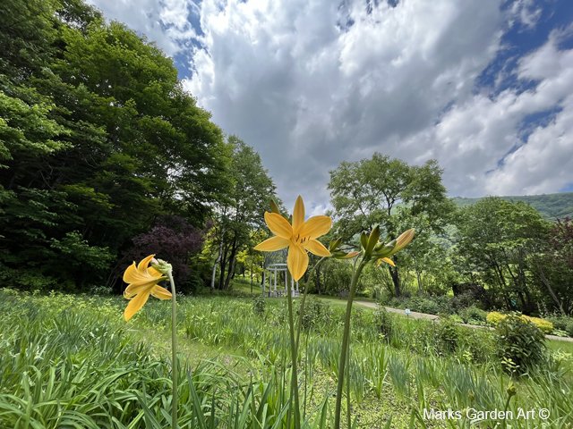 Hakuba_202305_07.JPG