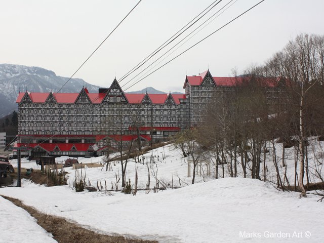 Hakuba_202405_03_20140420.JPG
