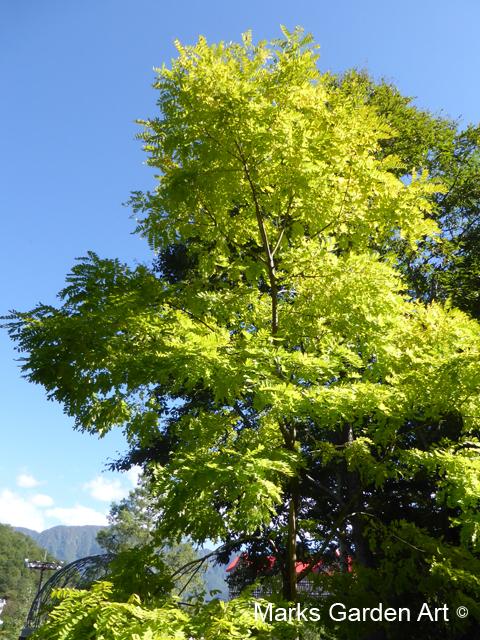 Hakuba_Autumn_201810_08.JPG