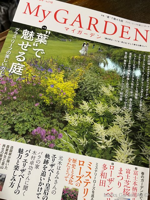 MyGarden118_202603_01.jpg