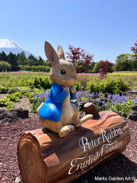 Peter_Rabbit_2023-03-15_03.JPG