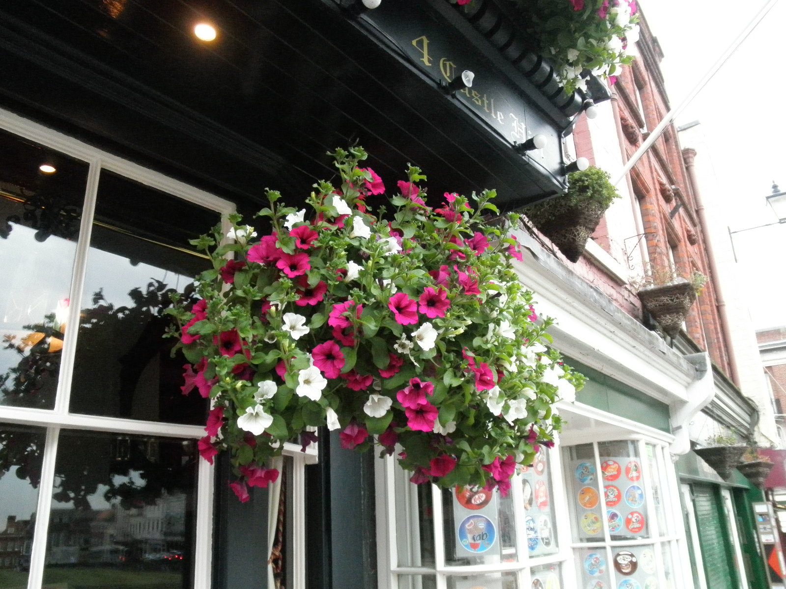 ハンギングバスケット(Hanging Basket) No.3 - Blog| マークス