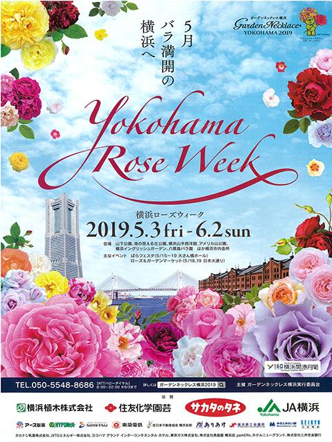 Yokohama_Roseweek_2019_01.jpg