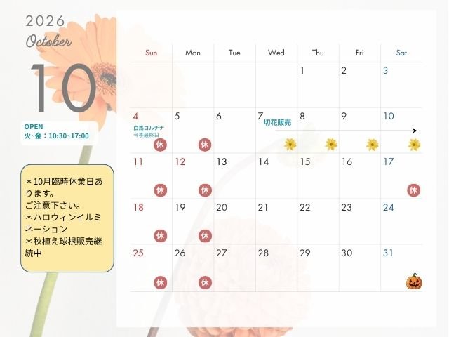 2026年10月_Blog.jpg